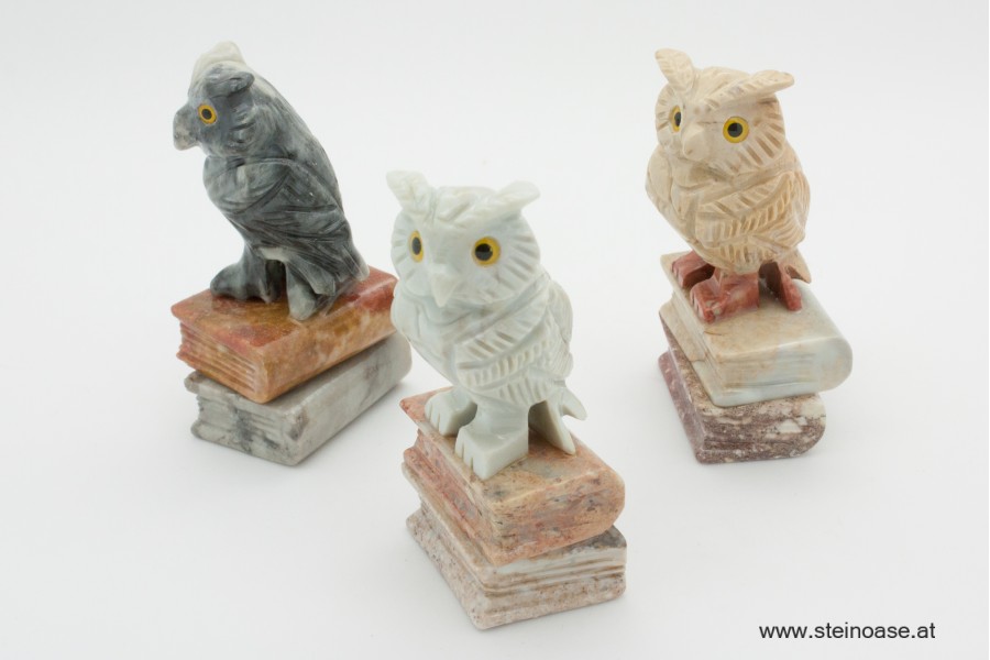 Eule auf Buch - Speckstein Gr.M